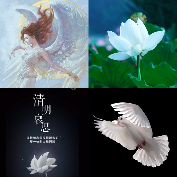 白色